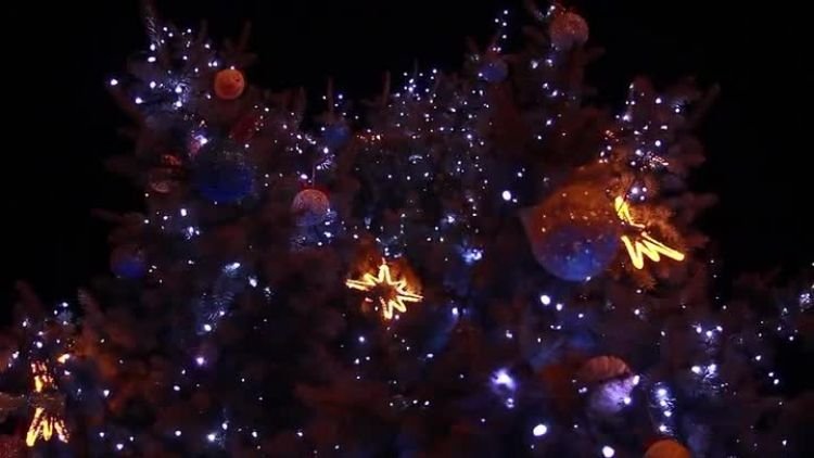 Na święta zaproś lubelskie