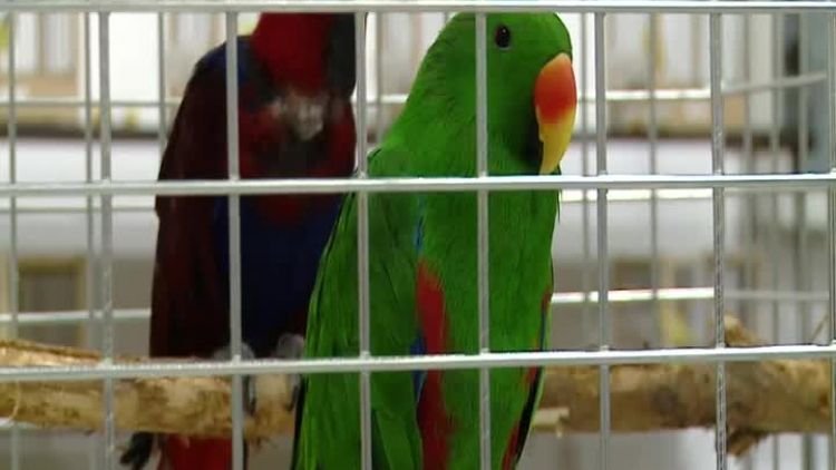 Wystawa Zoologiczna ZOOPARK