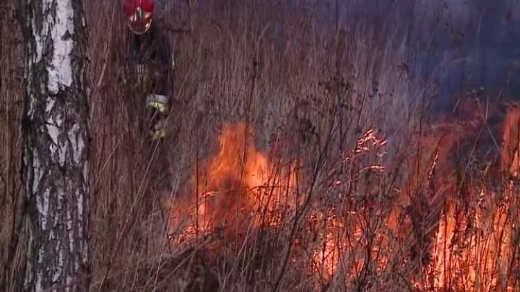 wypalanie traw zmorą strażaków