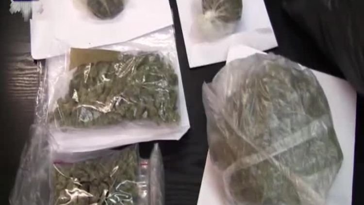 zatrzymanie dilerów