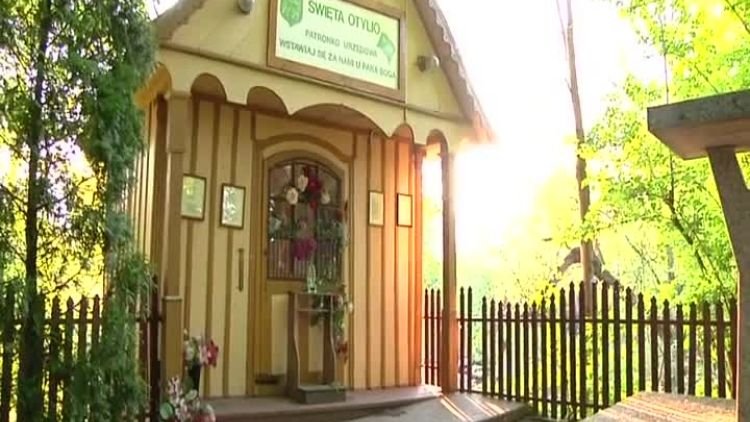 lkr_sw_otylia_bakterie_coli.mp4