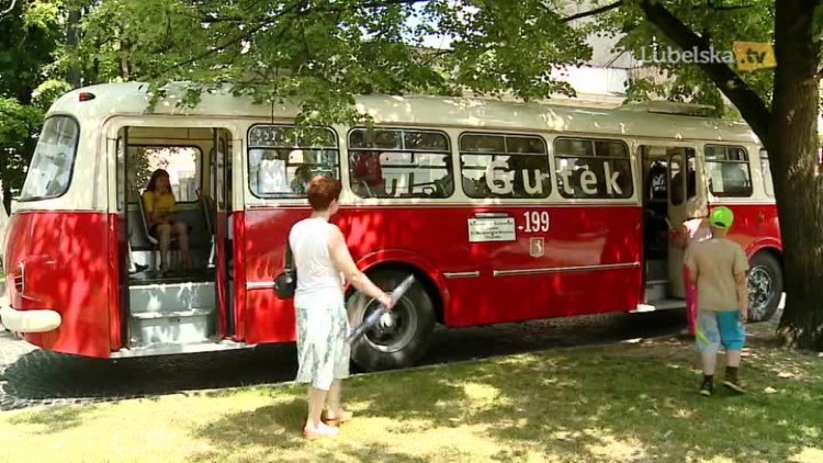 ziutek i gutek mpk ztm lu