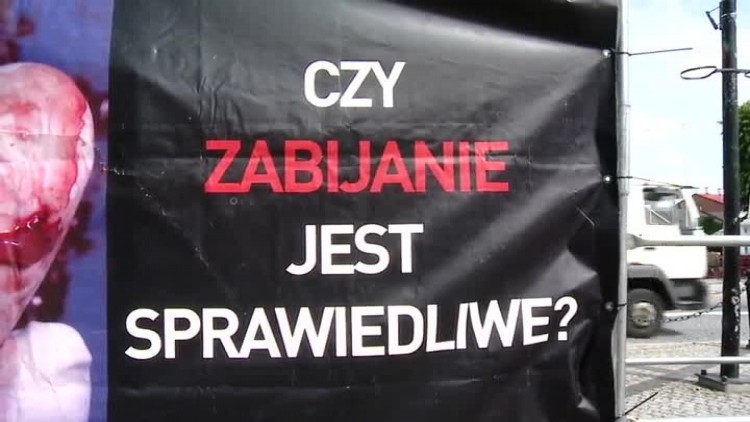 lkr_wystawa_antyaborcyjna.mp4