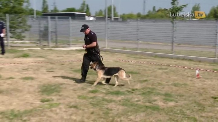 eliminacje do zawodów psy policyjne