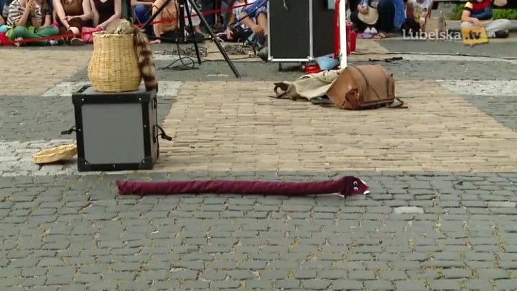 Sztukmistrze karnawal