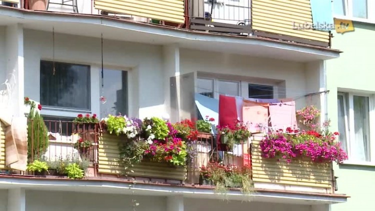 Konkurs na najpiękniej ukwiecony balkon