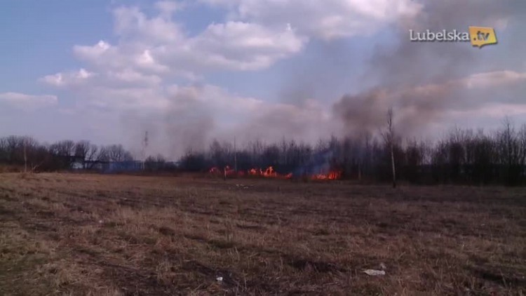 torfowiska na ukrainie