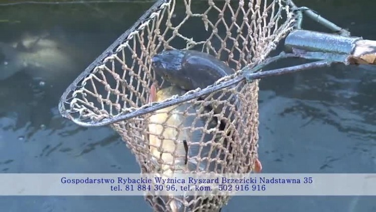 gospodarstwo_rybackie_wyznica.mp4