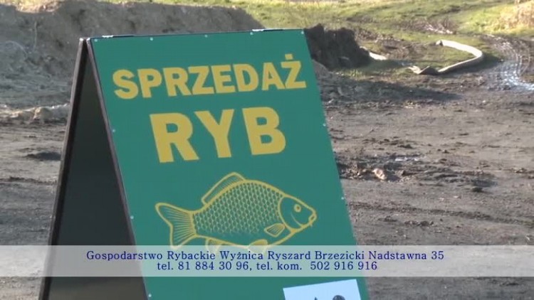 gospodarstwo_rybackie_wyznica02.mp4