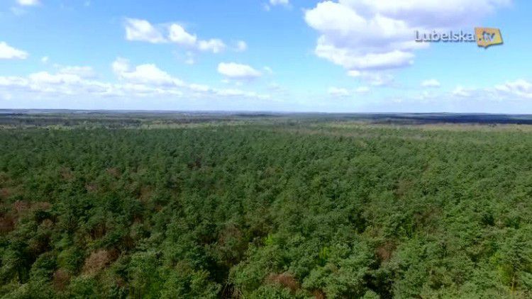 lkr_pge_sadzenie_lasu_logo.mp4