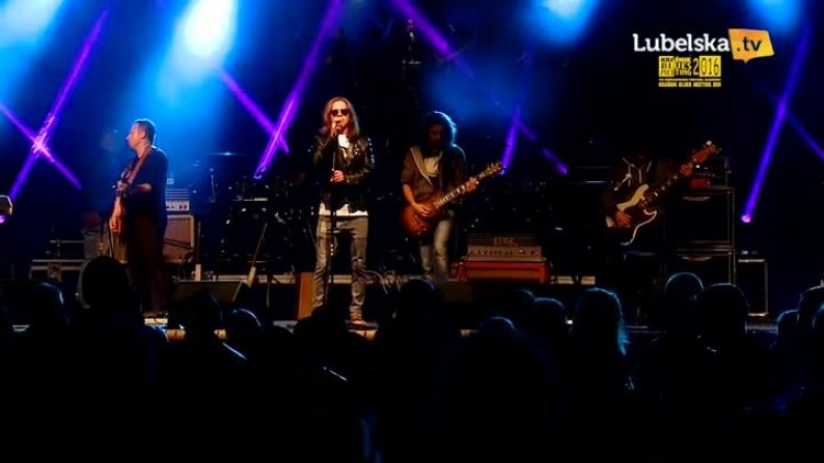 pawkin_dzem_projekt_cala_w_trawie_net.mp4