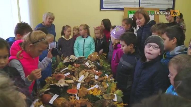 20160928_wystawa_grzybow_logo.mp4