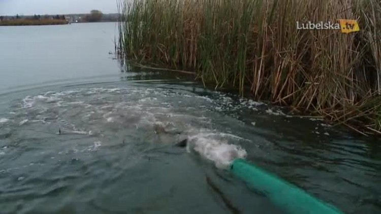 20161104_zarybianie_zalewu_logo.mp4