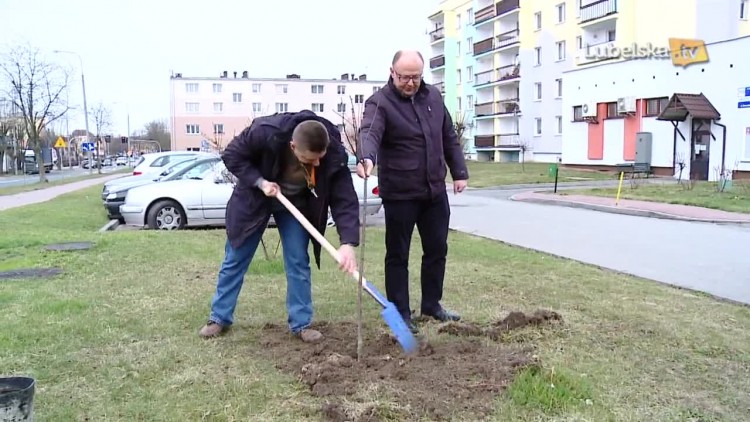 20170327_wilk_drzewka_logo.mp4