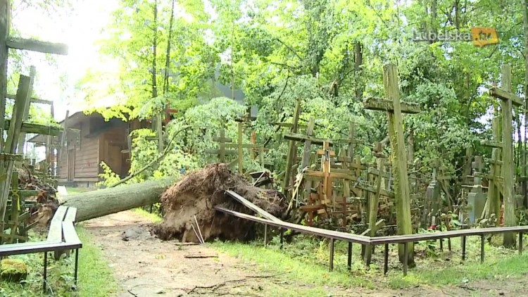 20170703_burza_logo.mp4