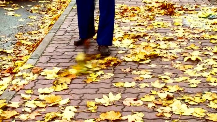 r_20161027_neuromed_005.mp4