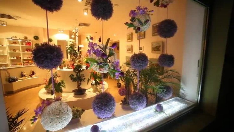 magnolia_wiosna_emisja.mp4