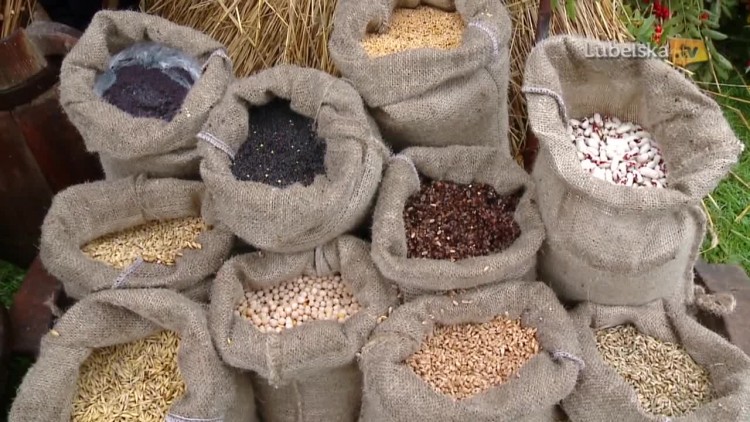 20170907_dozynki_005_logo.mp4