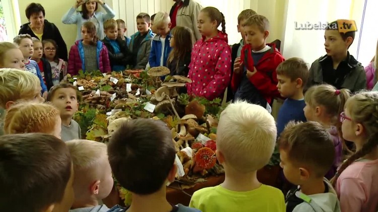 20170922_wystawa_grzybow_sanepid_logo-1.mp4