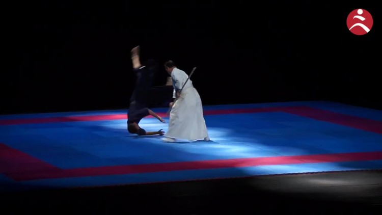 festiwal_sztuk_walki_2017.mp4