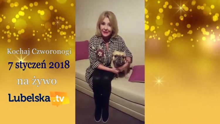 zapowiedz_20171222_czworonogi.mp4