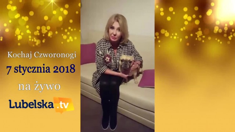 zapowiedz_20171222_czworonogi_pop.mp4