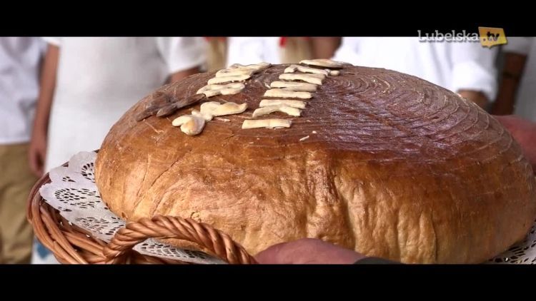 dozynki_wojewodzkie2018_logo_poprawione.mp4