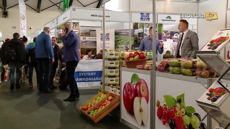 20190201_jagodowe_trendy_logo.mp4