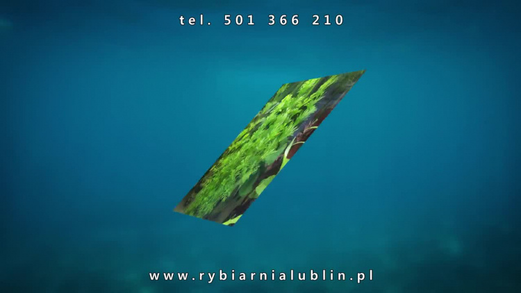 20190219_reklama_rybiarnialublinpl_zima_3.mp4