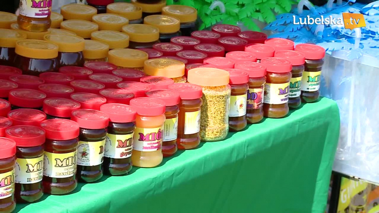 20190830_pszczoly_baltow.mp4