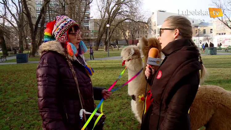 wosp_na_strone_cz1.mp4