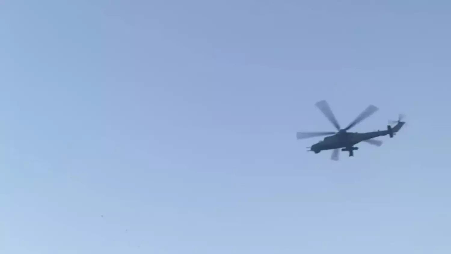 smiglo.mp4